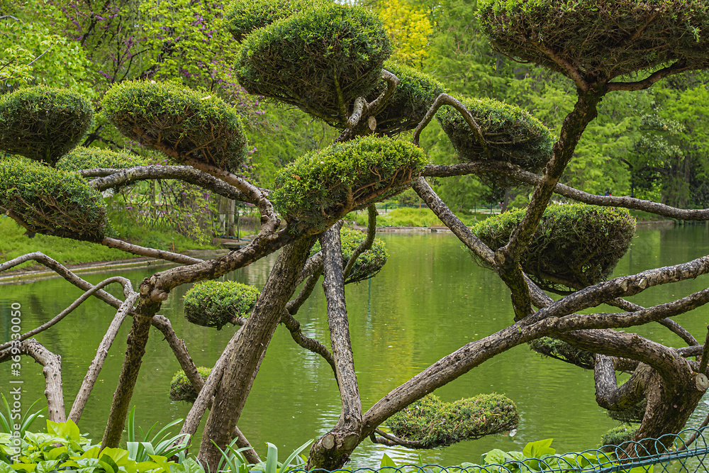 Fototapeta premium Public Garden (Jardin parc) built in the 18th century, is the French traditional garden and most famous park in Bordeaux. Bordeaux, France.