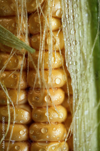 Delicious homemade corn, environmentally friendly, free of nitrates and carcinogens. Close up, macro