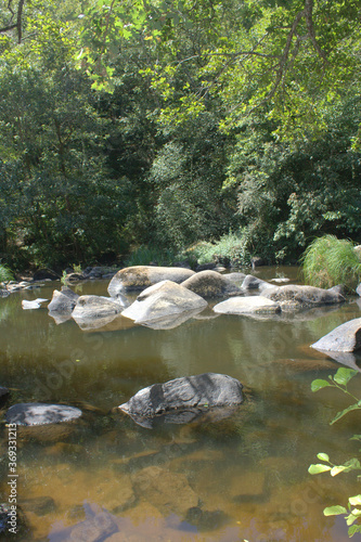 paysage de rivière , nature et gros rochers dans la nature en été