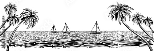 Panoramic beach with yachts regatta. Vector sketched landscape with palms and sea.