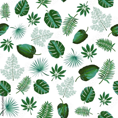 Seamless pattern with green tropical exotic leaves on white background.