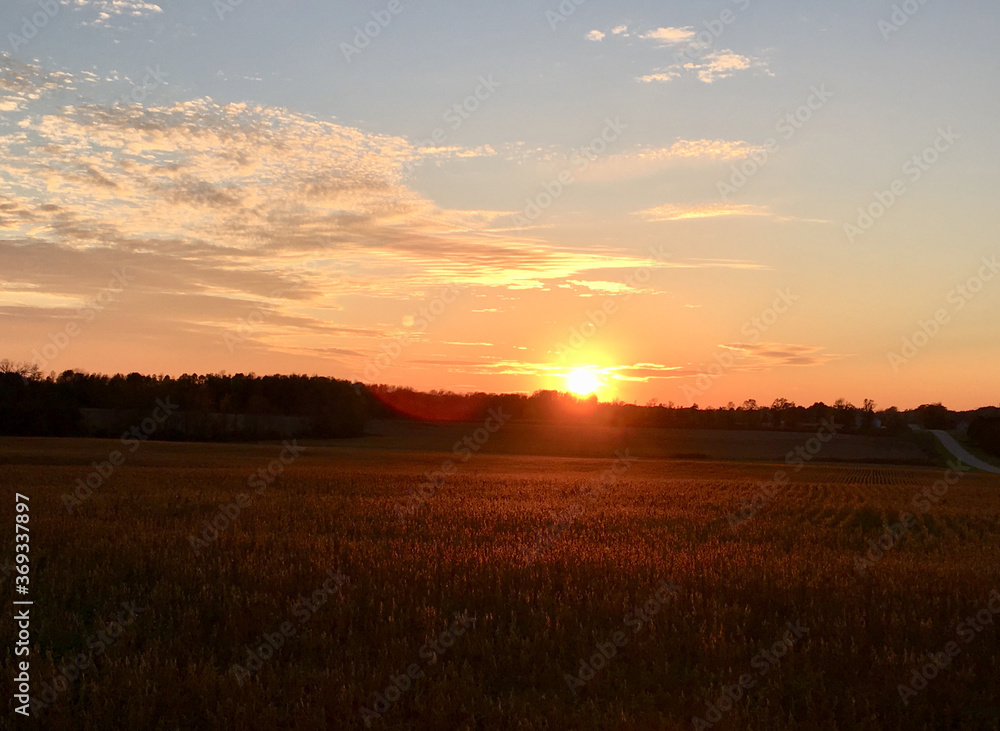 A field of crops in the golden hour during sunset in Door County, Northern Wisconsin.