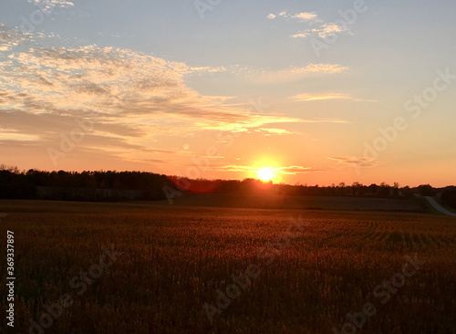 A field of crops in the golden hour during sunset in Door County, Northern Wisconsin.