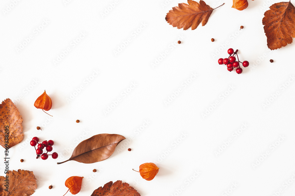Fototapeta Jesienna kompozycja. Suszone liście, kwiaty, jagody jarzębiny na białym tle. Jesień, jesień, koncepcja Święto Dziękczynienia. Płaski układanie, widok z góry