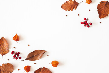 Autumn composition. Dried leaves, flowers, rowan berries on white background. Autumn, fall, thanksgiving day concept. Flat lay, top view