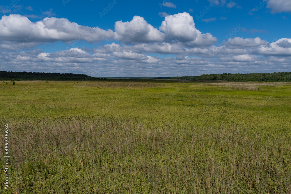 Panorama of swamp at Bolshom rakovom (Big Crayfish) Lake. Eco route in the 