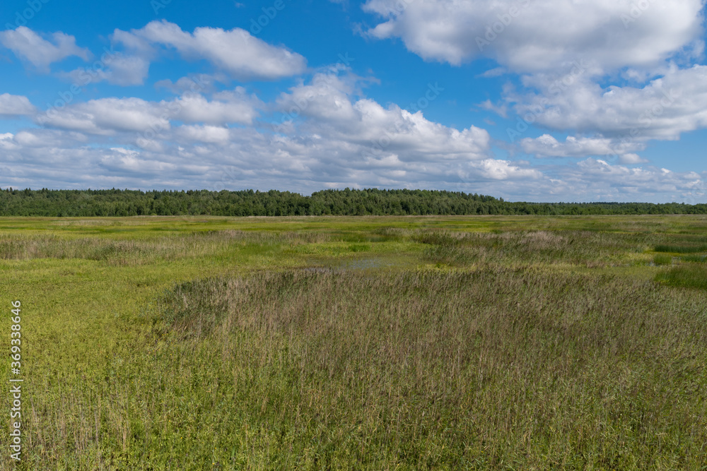 Panorama of swamp at Bolshom rakovom (Big Crayfish) Lake. Eco route in the 