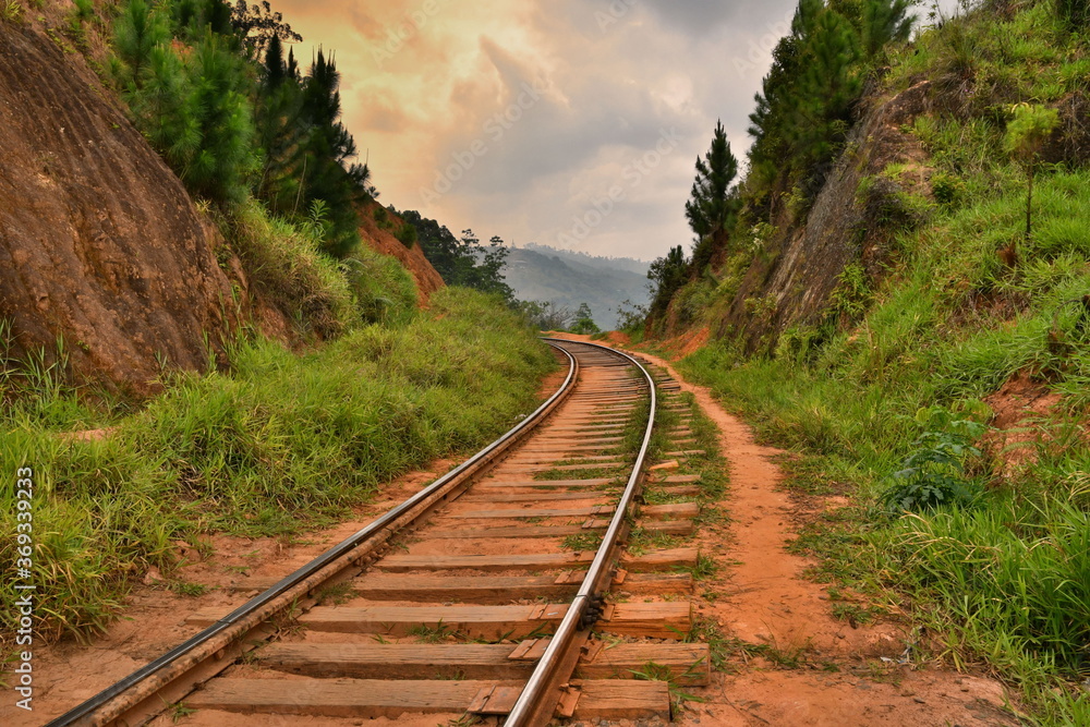 Obraz premium Railway tracks in sri lanka