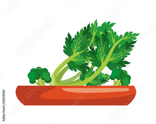 onion branch and broccoli healthy vegetables in dish