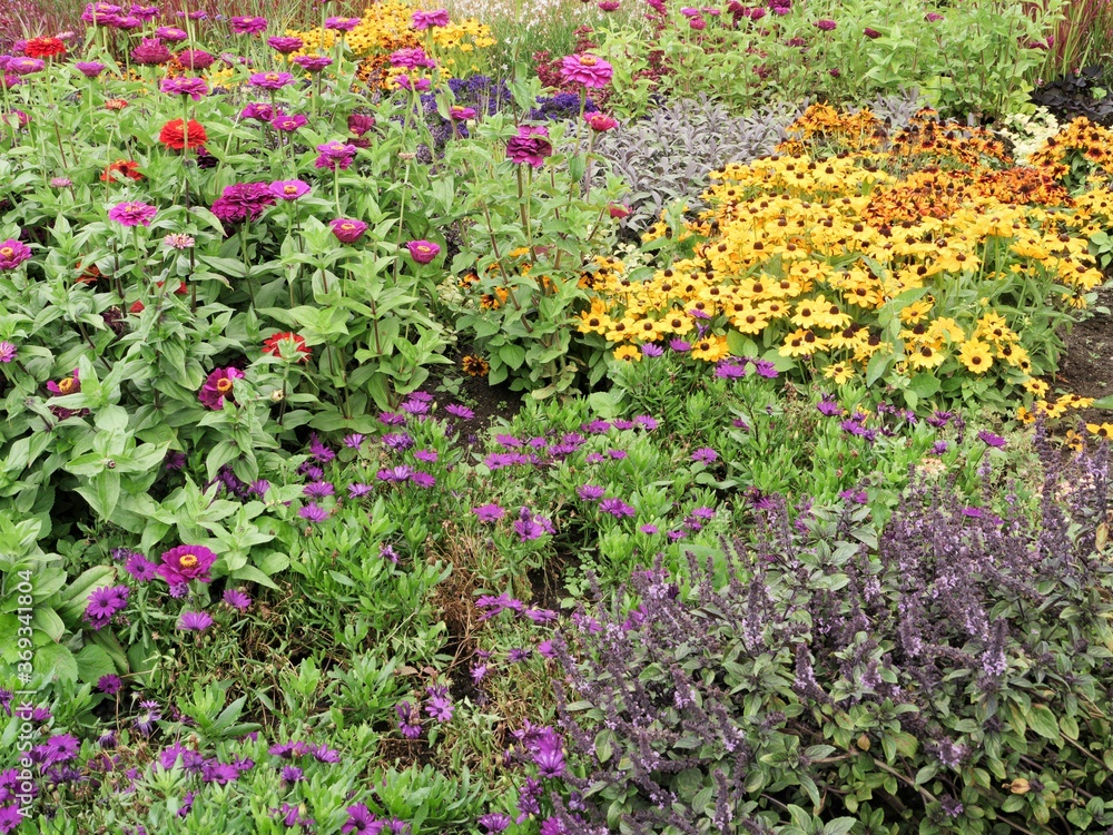 Bed with multi-colored different blooming late summer flowers. A blaze of color as an example for every home garden to plant yourself Bed with multi-colored different blooming late summer flowers. A blaze of color as an example for every home garden to plant yourself