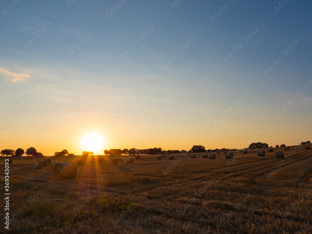 sunset over the field sunset over the field