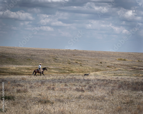 A distant and unrecognizable cowboy on the eastern Plains of Colorado one summer day