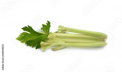 Fresh organic green celery isolated on white background