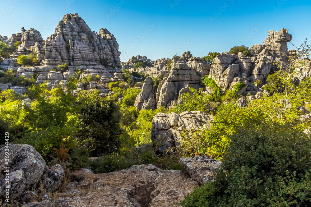 The weathered limestone protrudes above the vegetation in the Karst landscape of El Torcal near to Antequera, Spain in the summertime
