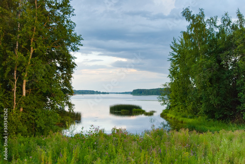 Summer landscape. In the photo  a forest lake  in the background  a forest and gray clouds.