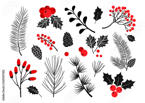 Christmas vector plants, holly berry, christmas tree, pine, rowan, leaves branches, holiday decoration, winter symbols isolated on white background. Red and black colors. Vintage nature illustration photo