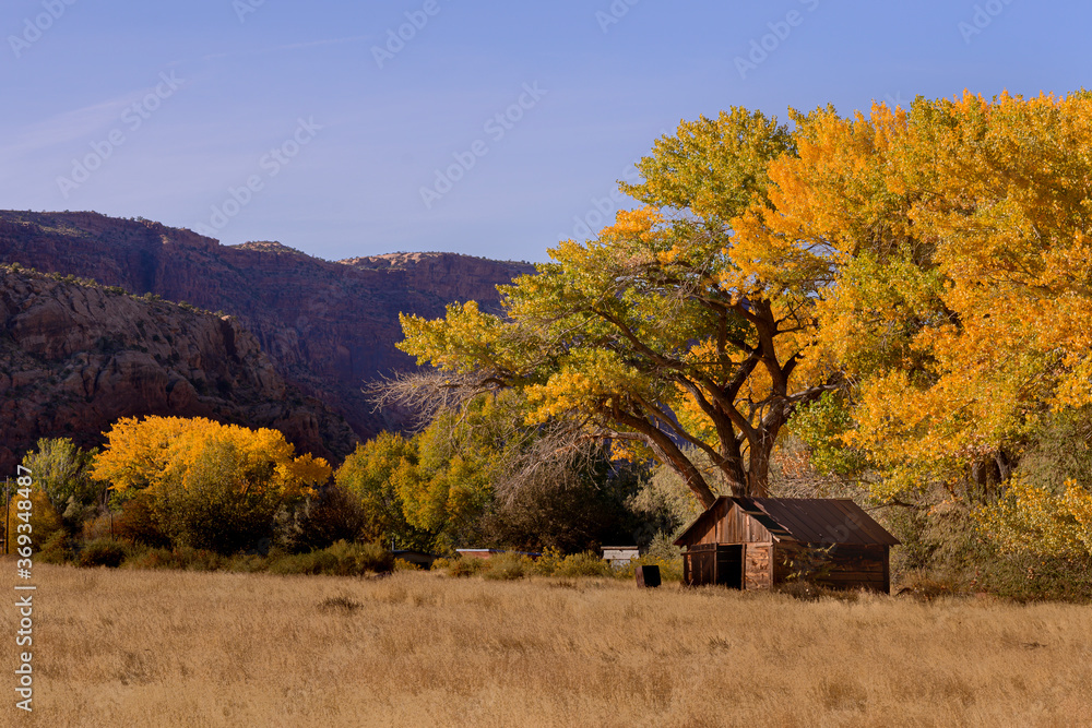Fototapeta premium An old building sits back amongst the cottonwood trees in the fall in Utah 