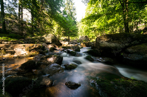 Small streams at the foot of the Brocken (Germany, Harz).