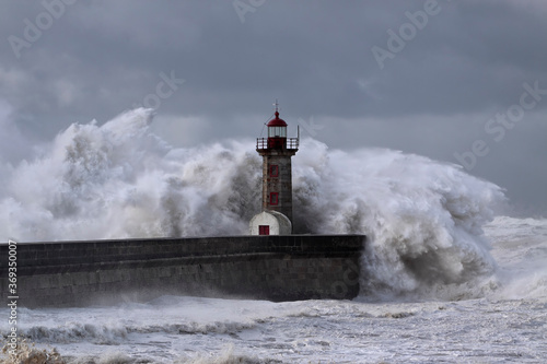 Windy Coast