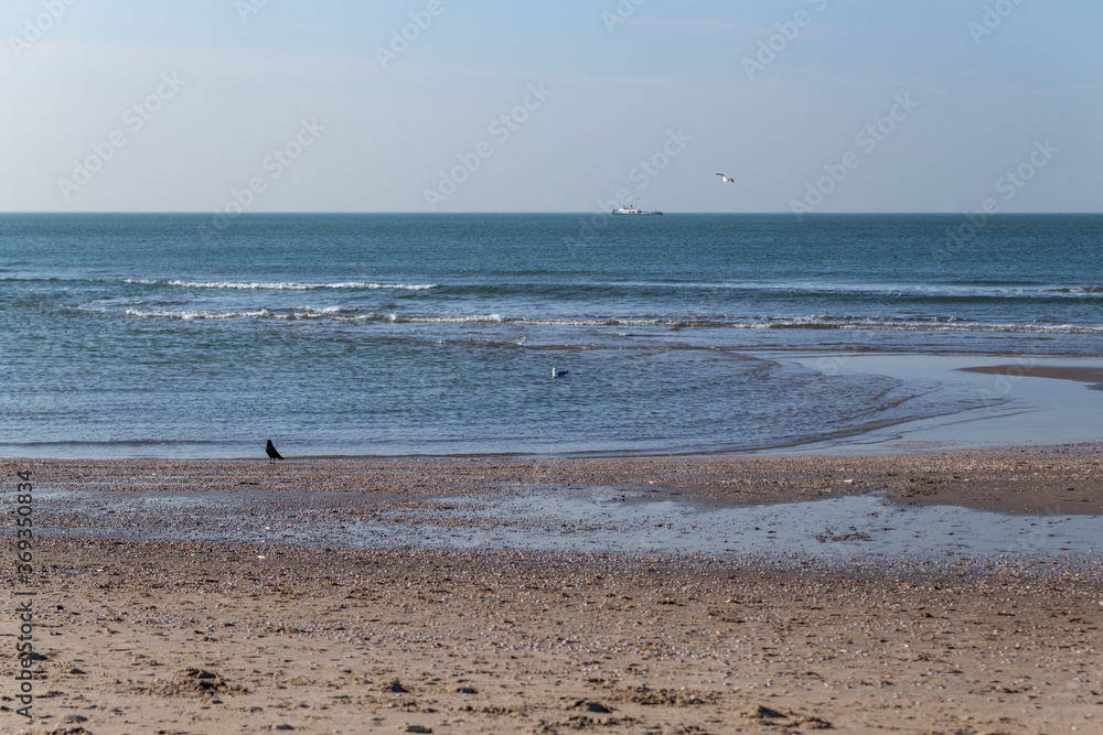 waves of the North Sea and clear skies in The Hague in the Netherlands