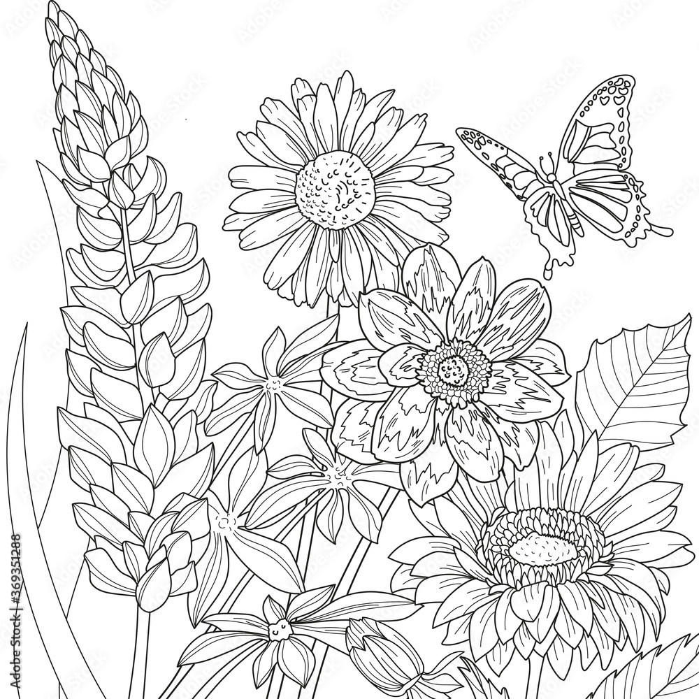Vector illustration with flowers. Colouring page. Garden print. Monochrome line drawing. Flower, floral painting. Graphic line art
