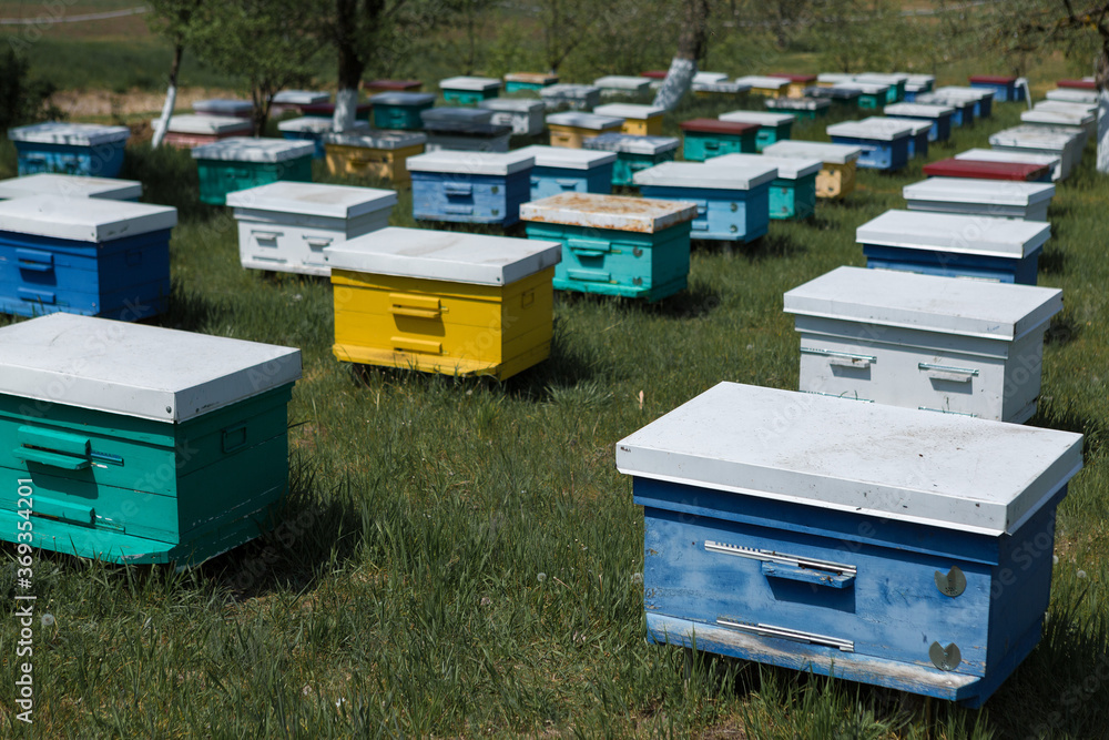 A row of bee hives in a private apiary in the garden. Honey industry. A row of bee hives in a private apiary in the garden. Honey industry.
