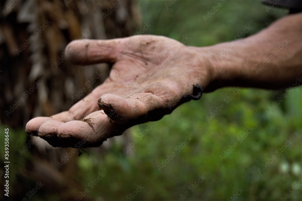 a helping hand a helping hand