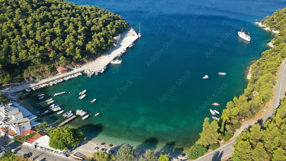 Aerial drone photo of small picturesque fjord looking port of Agnontas covered in pine trees ideal for safe anchoring, Skopelos island, Sporades, Greece