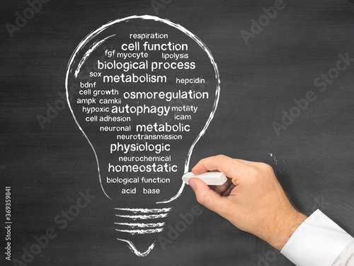 homeostasis photo