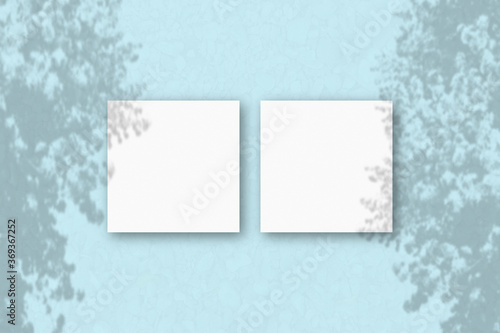 2 square sheets of white textured paper on the blue wall background. Mockup overlay with the plant shadows. Natural light casts shadows from an exotic plant.. Flat lay, top view