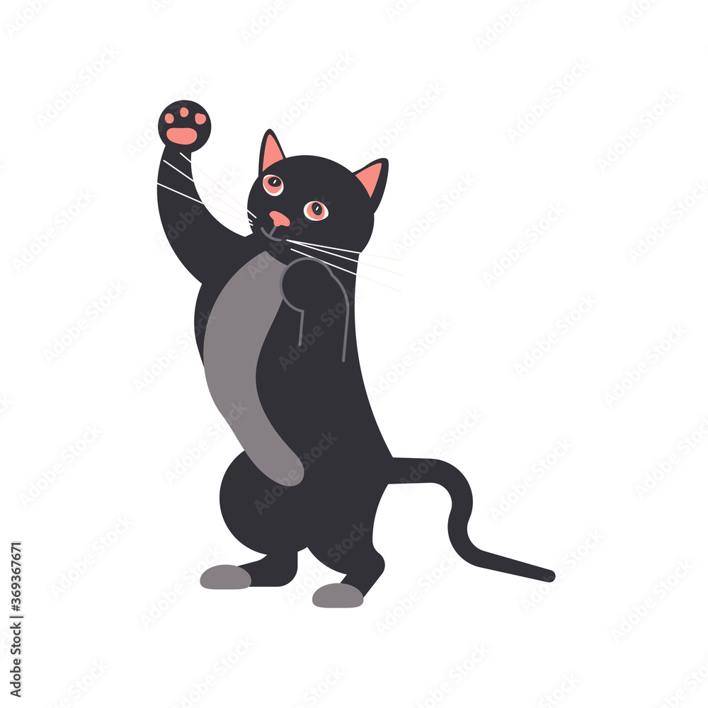 Fototapeta premium Funny black cat 