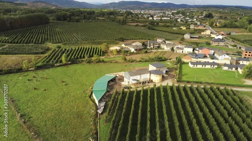 Scenic view of  fields in El Bierzo,Leon,Spain. Aerial Drone Footage