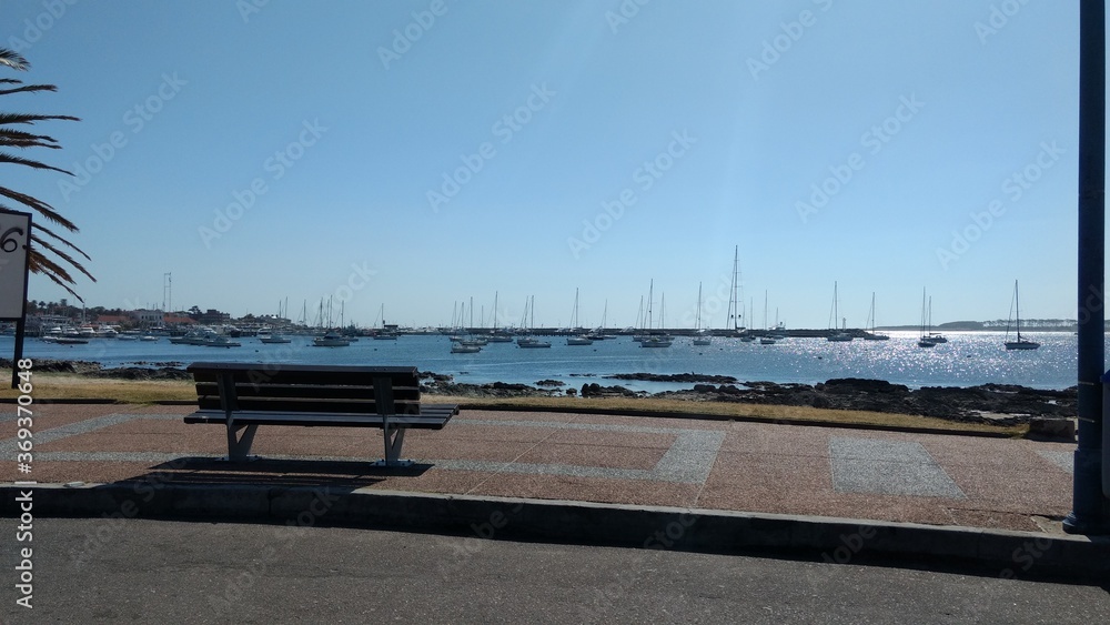 Obraz premium bench in the park