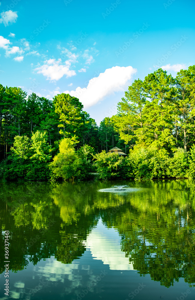 Deep Run Park Pond Reflections Deep Run Park Pond Reflections