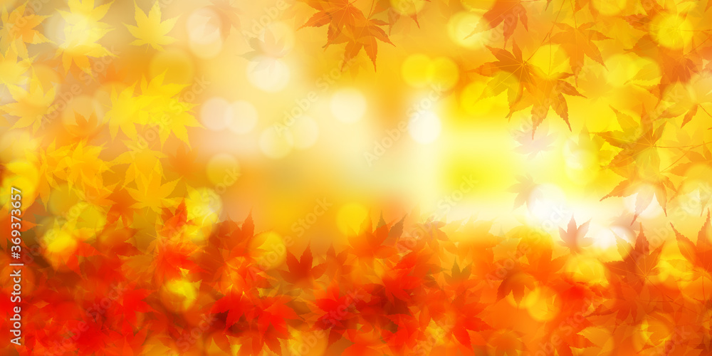 紅葉 もみじ 秋 背景
紅葉 もみじ 秋 背景