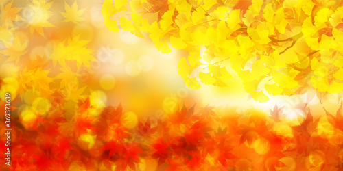 紅葉　イチョウ　秋　背景

