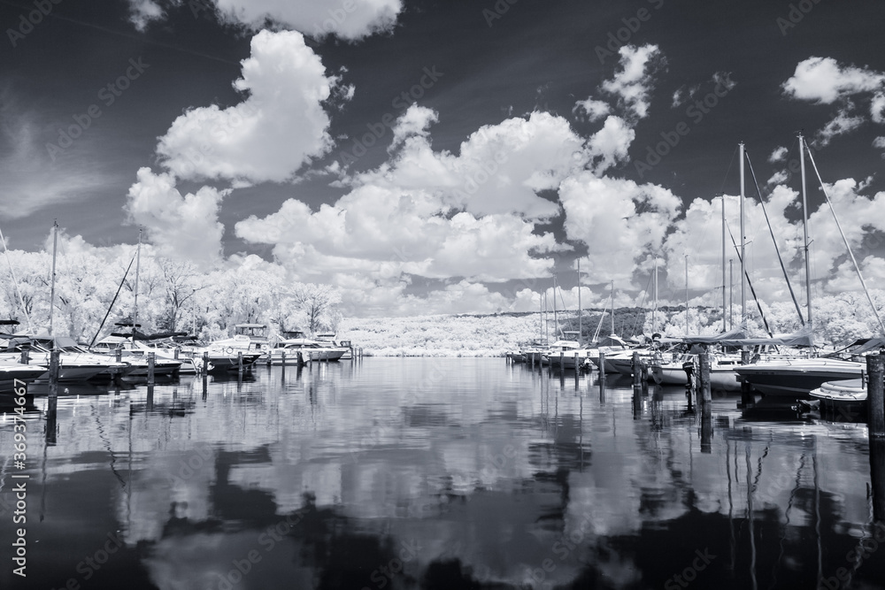 Infrared Landscape reflected in a marina
