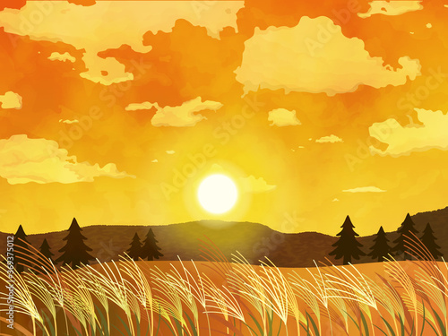 綺麗な夕日とススキの風景イラスト