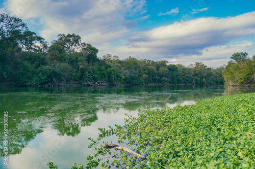 Quadro em tela lago El Salado, castelli - chaco - argentina