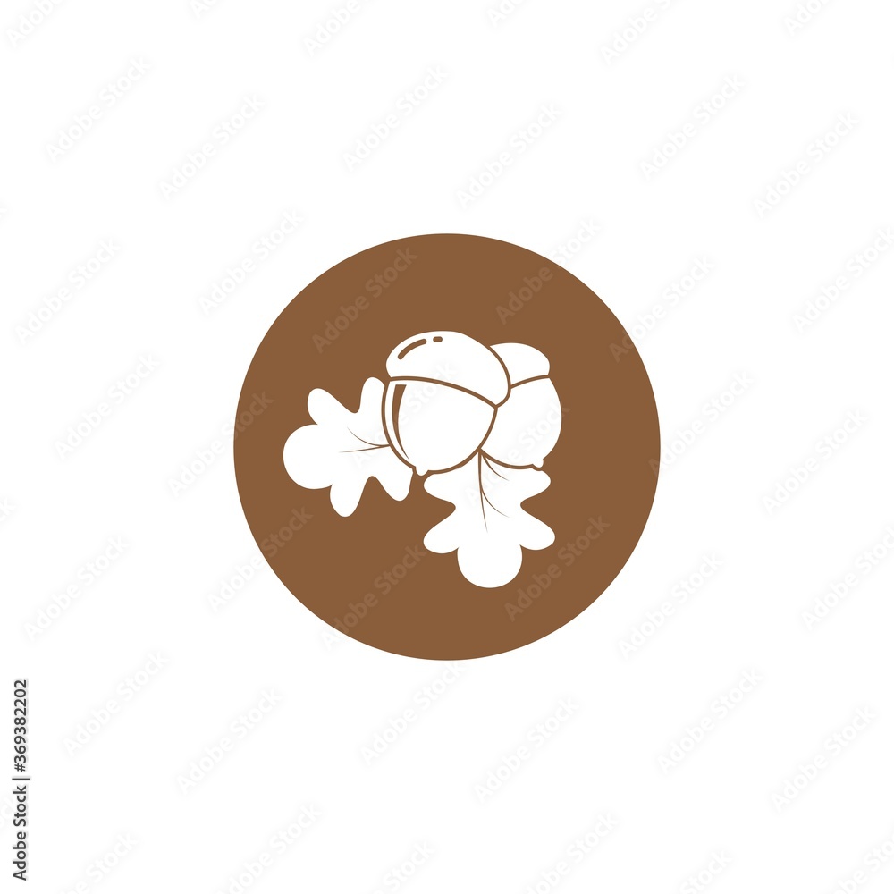 oak acorn vector illustration design oak acorn vector illustration design