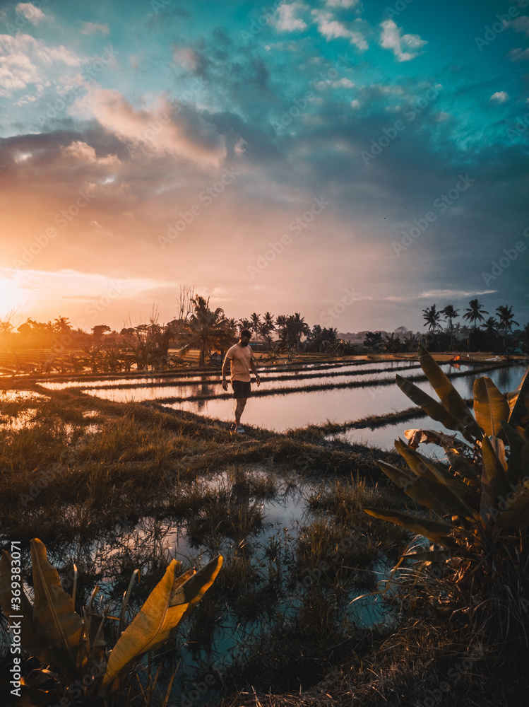 Male model walking towards sunset, in the middle of rice fields in Bali Indonesia