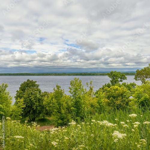 Green summer meadow with various grasses, trees on the river Bank, blue cloudy sky
