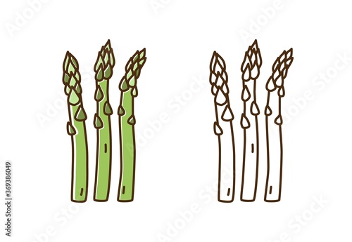 Tasty fresh asparagus monochrome and color set vector flat illustration. Natural dietary edible plant in line art style isolated on white. Cute icon of organic vegetable for healthy nutrition photo
