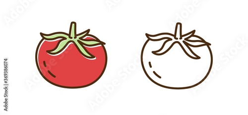 Organic tomato monochrome and colorful icon set vector flat illustration. Natural fresh farm food for healthy nutrition isolated on white background. Cute vegetarian plant in line art style