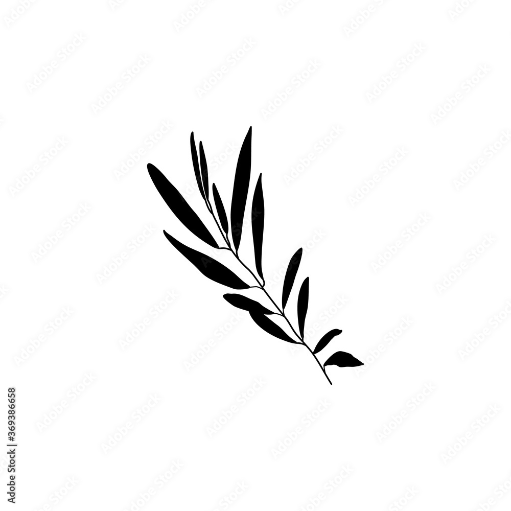 Fototapeta Silhouette Olive Branch with leaves. Outline Botanical leaves In a Modern Minimalist Style. Vector Illustration.