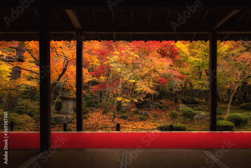 秋の京都（圓光寺・十牛之庭）