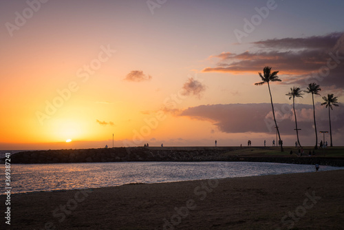 Palm tree silhouettes at Magic Island, Honolulu, Hawaii