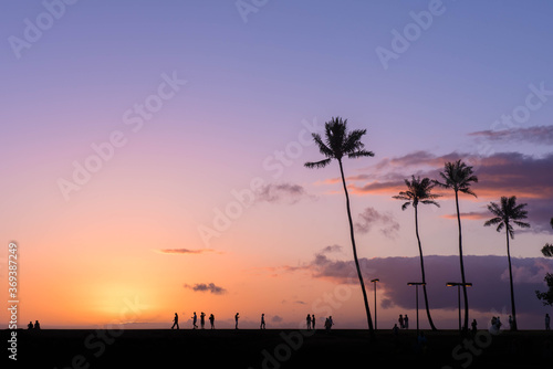 Sunset with Palm tree silhouettes at Magic Island  Honolulu  Hawaii