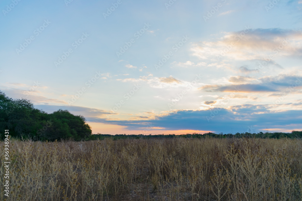 atardecer en el campo con la hierba seca por las heladas