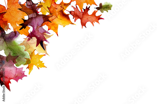 Stylish autumn leaves flat lay. Yellow and red leaves border on white paper with space for text. Happy thanksgiving day  floral greeting card mockup. Back to school.